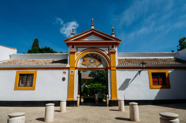 palace de las duenas in seville, spain - ancient arabic style arch architecture imagens e fotografias de stock