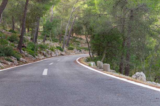 istock Road between the trees. cycling route of mallorca 1175463534
