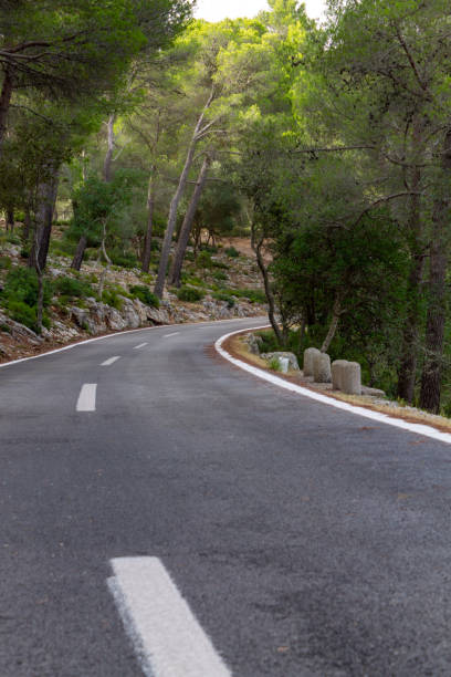 istock Road between the trees. cycling route of mallorca 1175463555