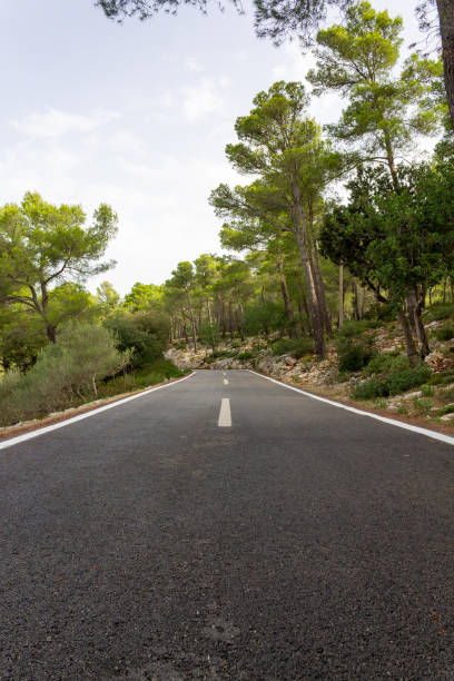 istock Road between the trees. cycling route of mallorca 1175464155