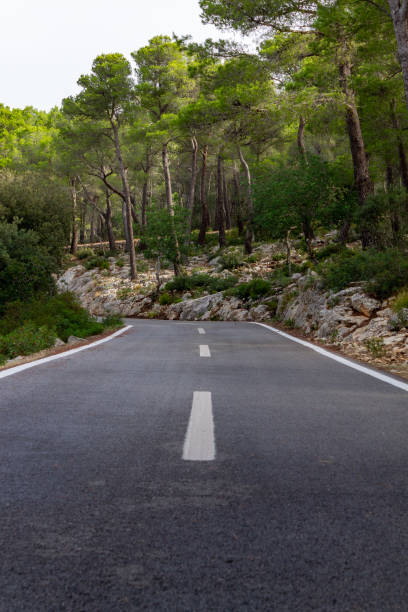 istock Road between the trees. cycling route of mallorca 1175464323