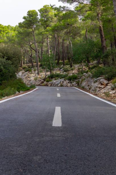 istock Road between the trees. cycling route of mallorca 1175464418