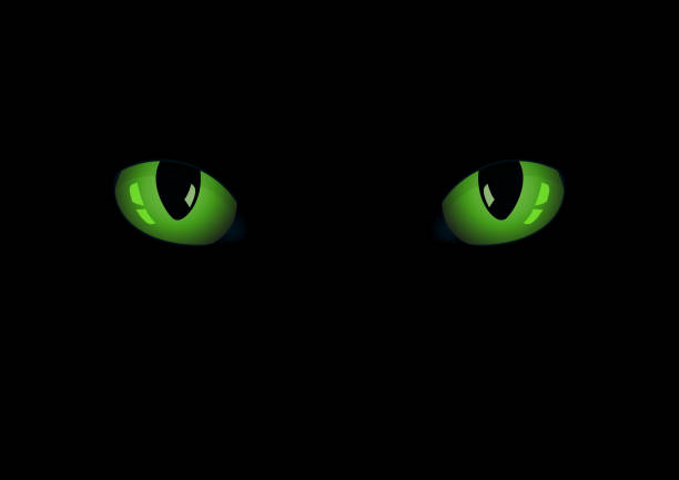 stockillustraties, clipart, cartoons en iconen met de ogen van de groene kat gloeien in het donker. vector art - green friday
