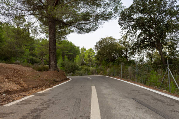 istock Road between the trees. cycling route of mallorca 1175464902