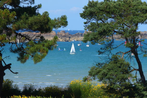 istock White boat sailing in the beautiful sea 1175469469