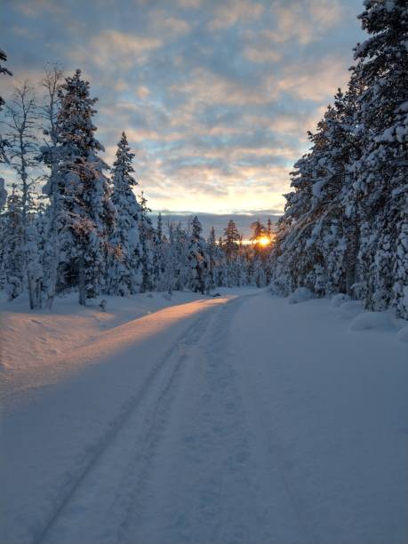 istock snowy winter wonderland 1175470537