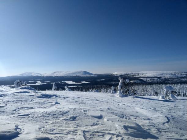 istock snowy winter wonderland 1175470769