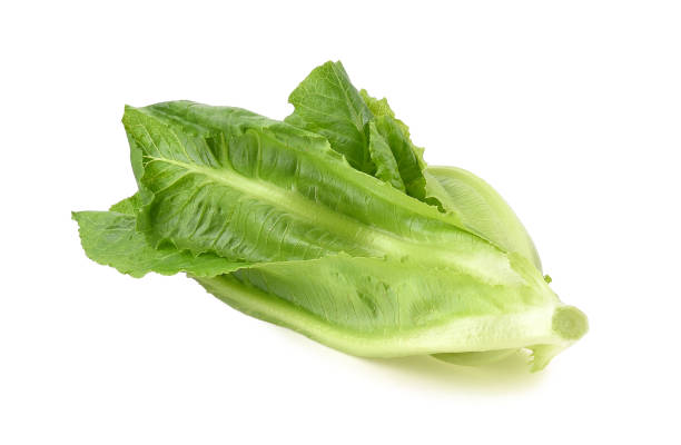 istock Cos Lettuce Isolated on White Background 1175471583