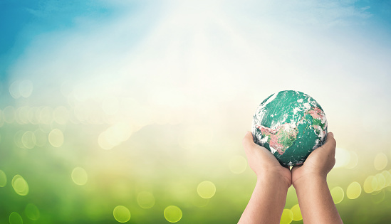 World Environment Day Concept Stock Photo - Download Image Now -  Sustainable Lifestyle, Sustainable Resources, Globe - Navigational  Equipment - iStock
