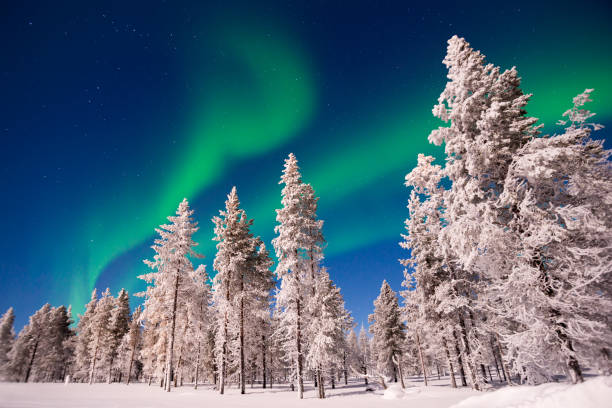 istock Northern lights, Aurora Borealis in Lapland, Finland 1175472246