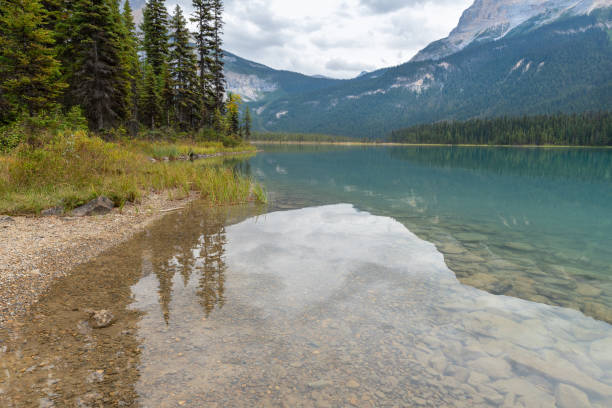 istock Emerald Lake in Yoho National Park 1175473097