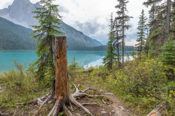 Emerald Lake in British Columbia, Canada