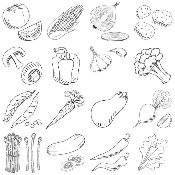 ilustrações de stock, clip art, desenhos animados e ícones de vegetables (set) - black and white illustration/ drawing - cauliflower white backgrounds isolated