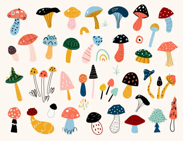 Vector illustration of Autumn mood. Hand drawn big vector set of various types of mushrooms. Colored trendy illustration.