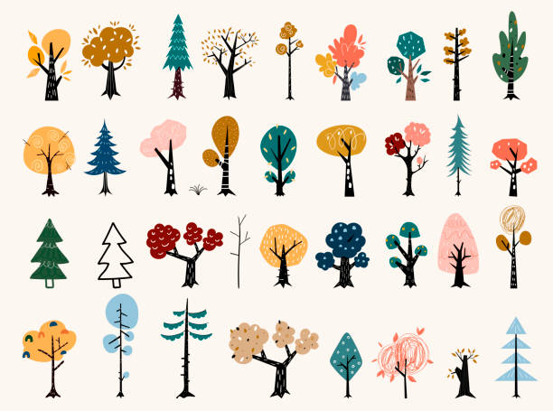 평평한 스타일의 나무 세트입니다. 현대적인 플랫 스타일로 설정된 트리 아이콘입니다. 소나무, 가문비 나무, 참나무, 자작 나무, 트렁크, 아스펜, 알더, 포플러, 밤나무, 사과 나무. - 2841 stock illustrations