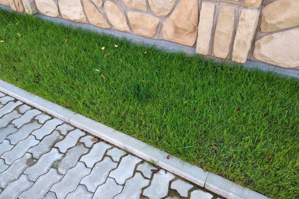 istock Sidewalk paved with cement bricks and lawn with green grass. 1175477595