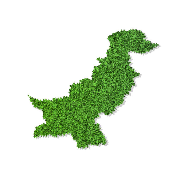 istock Vector isolated simplified illustration icon with green grassy silhouette of Pakistan map. White background 1175478002