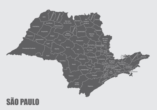 sao paulo eyaleti mikrobölgeler haritası - santos stock illustrations