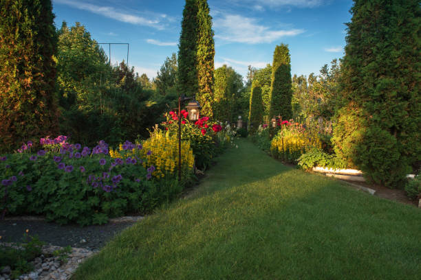 istock in the botanical garden 1175481877