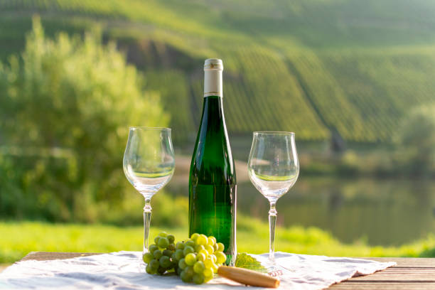 istock Famous German quality white wine riesling, produced in Mosel wine regio from white grapes growing on slopes of hills in Mosel river valley in Germany 1175483408