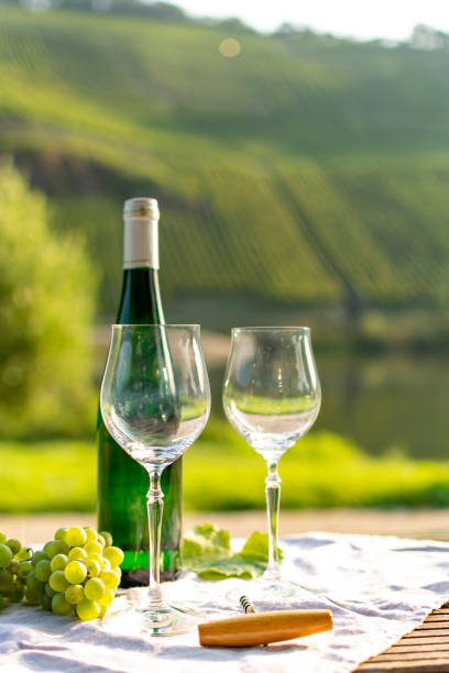 istock Famous German quality white wine riesling, produced in Mosel wine regio from white grapes growing on slopes of hills in Mosel river valley in Germany 1175483417