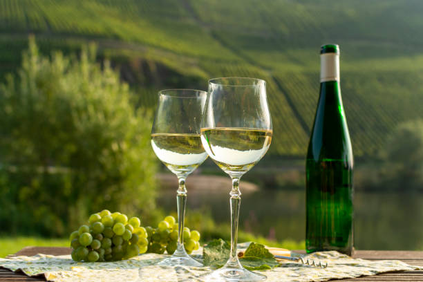 istock Famous German quality white wine riesling, produced in Mosel wine regio from white grapes growing on slopes of hills in Mosel river valley in Germany 1175483425