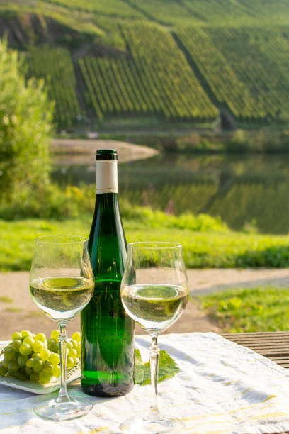 istock Famous German quality white wine riesling, produced in Mosel wine regio from white grapes growing on slopes of hills in Mosel river valley in Germany 1175483426