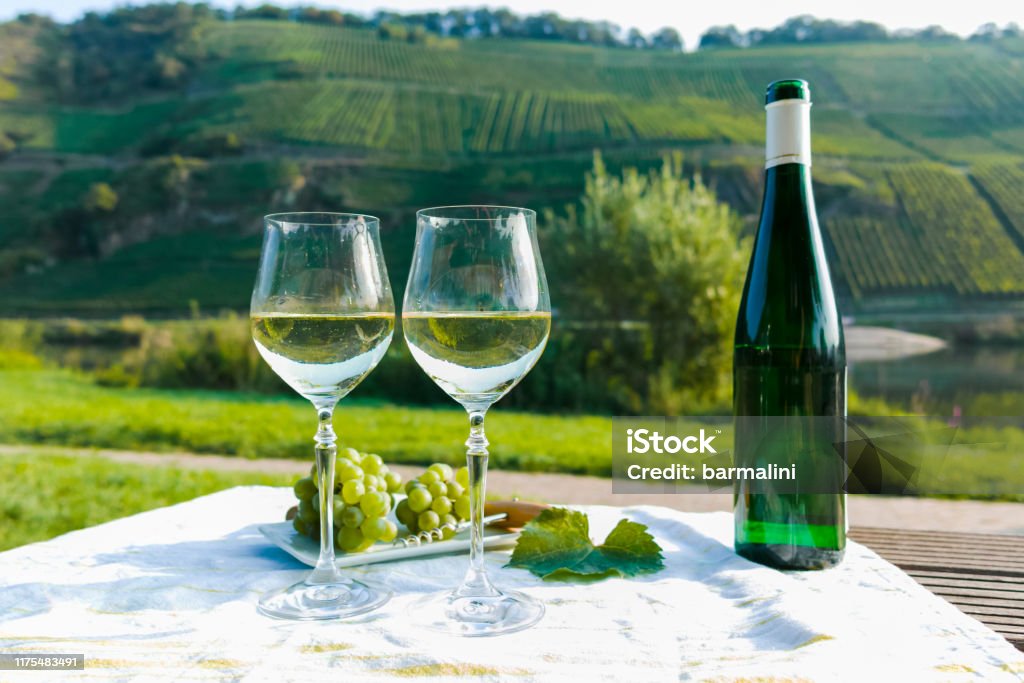 有名なドイツ品質の白ワインリースリングは、ドイツのモーゼル川渓谷の丘の斜面に成長する白ブドウからモーゼルワインレジオで生産 - つる草のロイヤリティフリーストックフォト