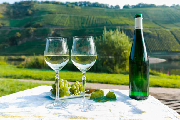 istock Famous German quality white wine riesling, produced in Mosel wine regio from white grapes growing on slopes of hills in Mosel river valley in Germany 1175483491