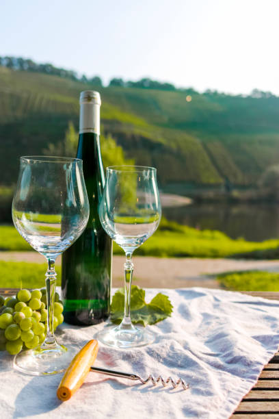 istock Famous German quality white wine riesling, produced in Mosel wine regio from white grapes growing on slopes of hills in Mosel river valley in Germany 1175483492