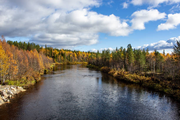 istock autumn colours in Lapland, Finland 1175483555