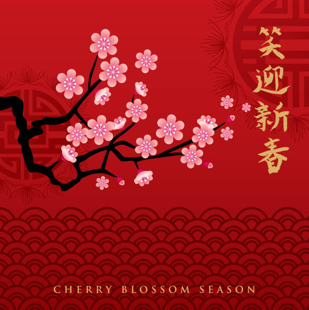 Cherry Blossom Season A vector illustration to show cherry blossom in a spring season oriental cherry tree stock illustrations