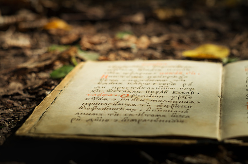 A fragment of text in ancient manuscript book in Old Slavonic Old Russian Cyrillic language. Autumn forest