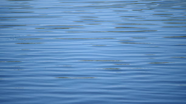 istock Beautiful water surface in the early morning 1175488486