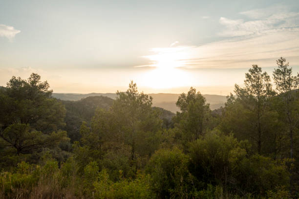 istock Mountains in prat del comte de Tarragona 1175488755