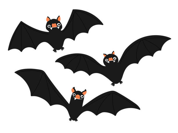 ilustrações de stock, clip art, desenhos animados e ícones de set of bat illustrations - transsylvania
