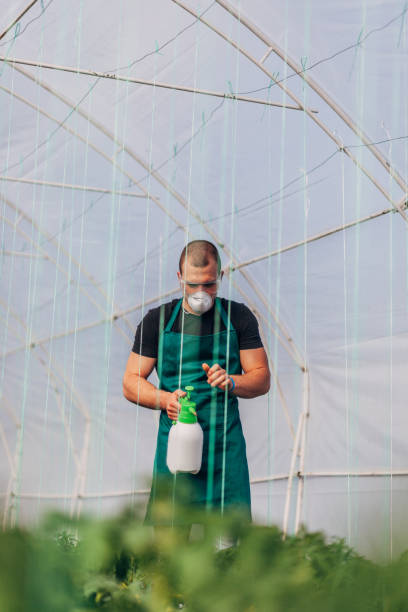 istock Farmer spraying plants on farm 1175490243