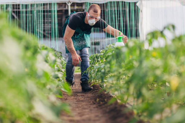 istock Man spraying plants on farm 1175490278