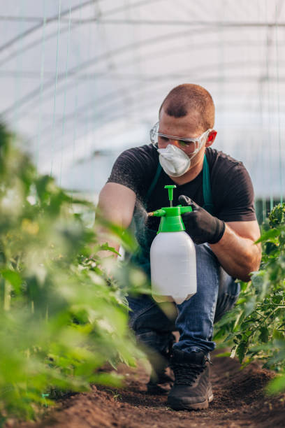 istock Man spraying plants on organic farm 1175490295