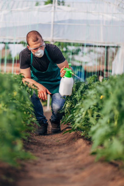 istock Man spraying plants on organic farm 1175490725