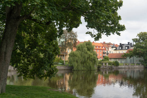 istock Buildings and willow in town park. 1175491924