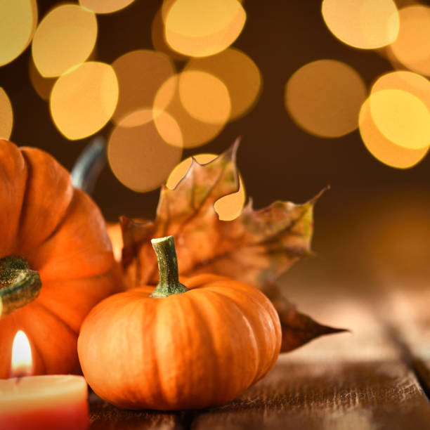 istock Thanksgiving still life with pumpkins and illuminated background on a rustic wooden table 1175493928