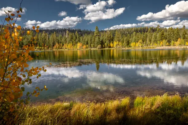 Stunning autumn view of the mirror lake of Duck Creek in Dixie National Forest Sothern Utah, USA.