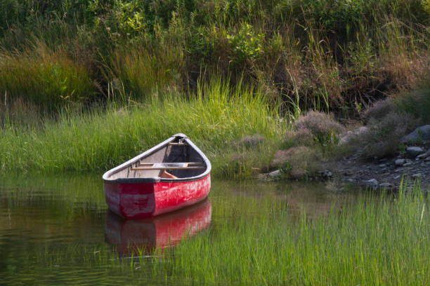 istock Clam Digger's Boat by Edge of Salt Marsh 1175496502