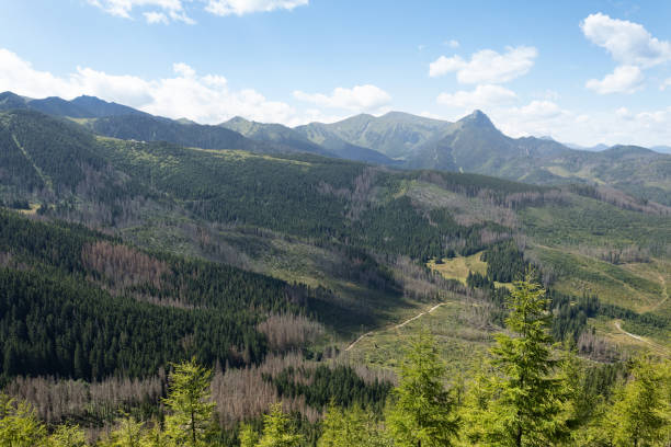 Tatra mountains in sunny day. This file is cleaned and retouched.