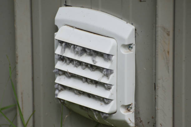 istock Dirty Dryer Vent Close Up 1175497197