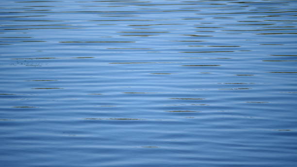 istock Beautiful water surface in the early morning 1175498023