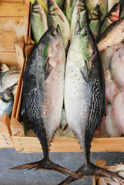 istock Two Salmon fish at fish market table. 1175498282