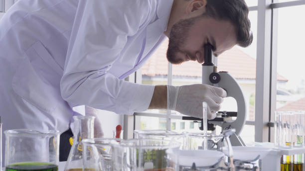 istock Scientist work with science equipment in laboratory. Scientific research concept. 1175501591