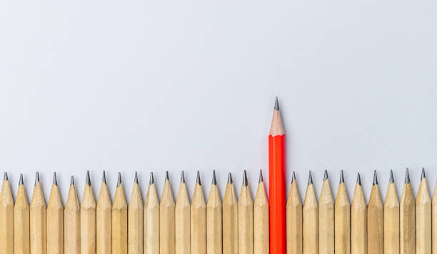 different pencil standout show leadership concept. - individuality standing out from the crowd contrasts competition imagens e fotografias de stock